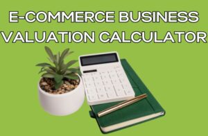 E-commerce Business Valuation Calculator