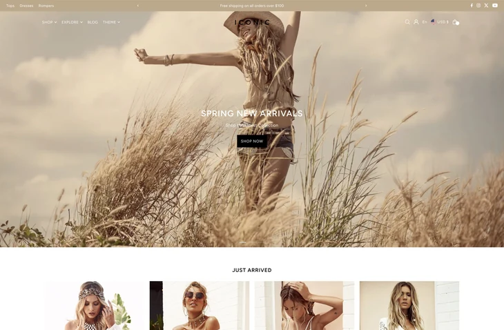 Icon Shopify theme storefront preview