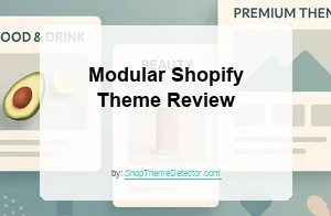 Modular Shopify Theme Review