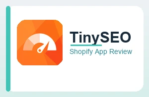 TinySEO Review