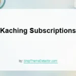 Kaching Subscriptions Shopify app review